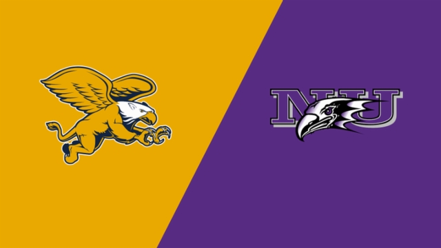 喜鹊军团 喜鹊军团