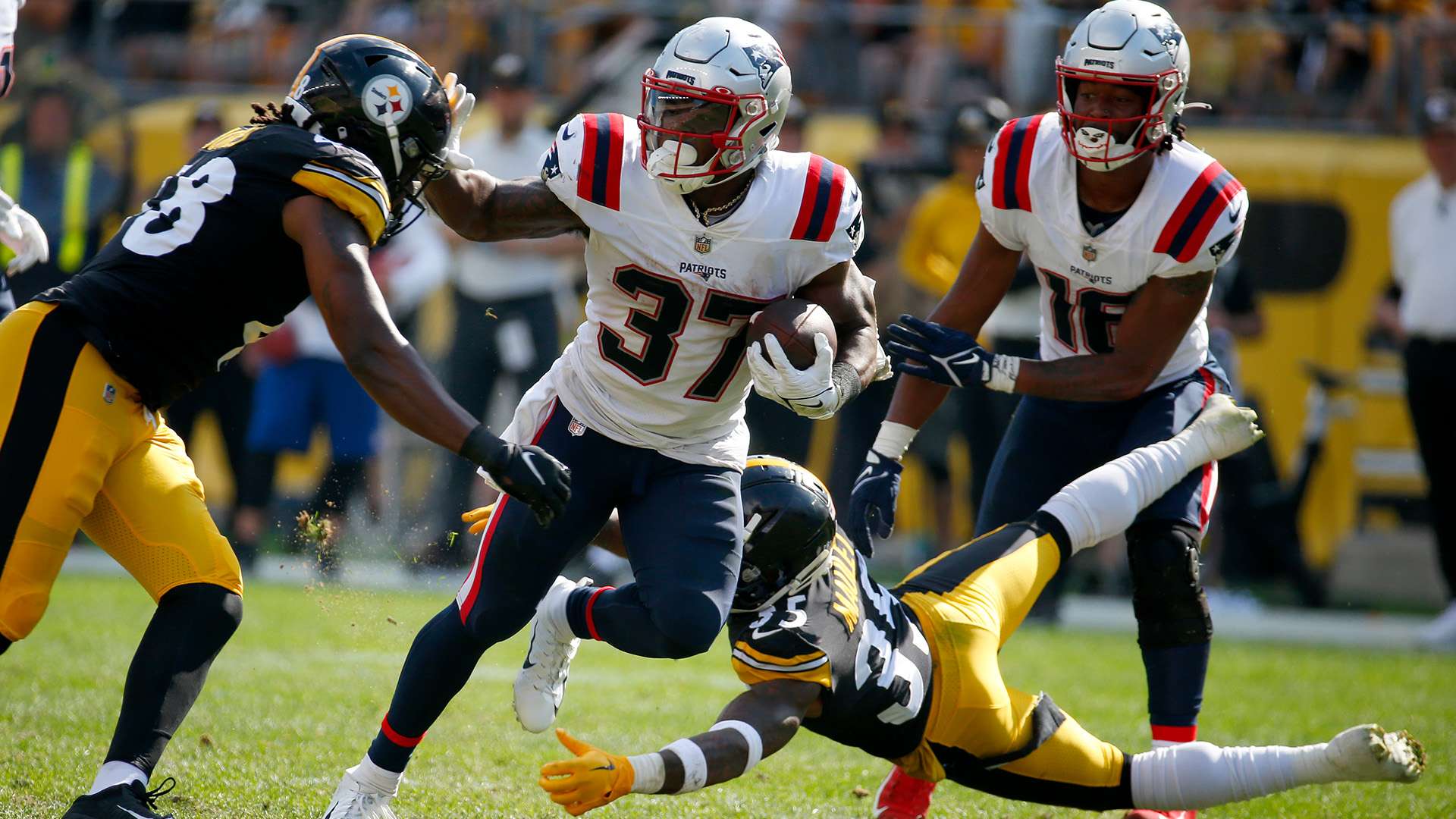 这一赛季不 这一赛季不